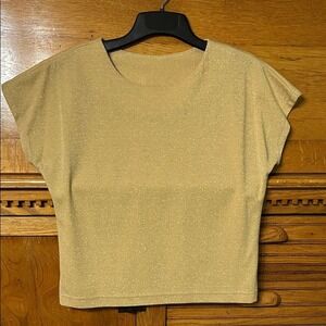 Vintage Gold Metallic Knit Top Clean Girl Elevated Short Sleeve Sparkle Blouse